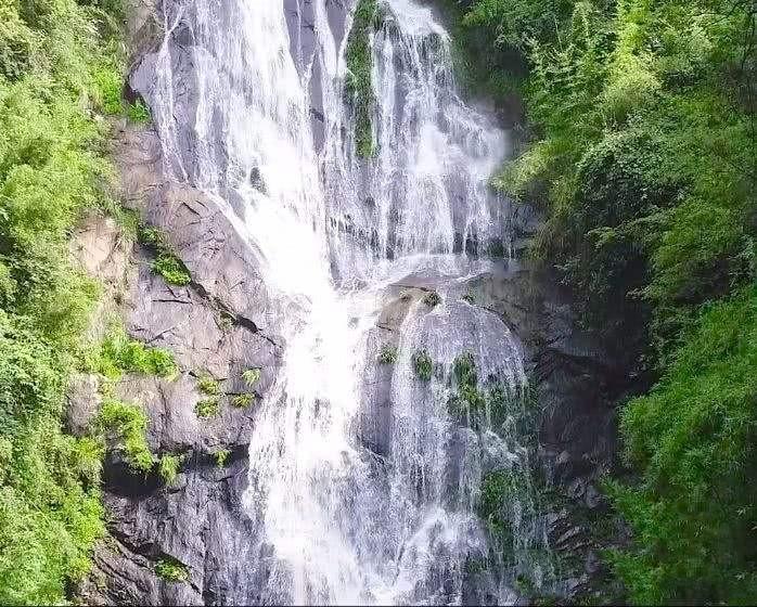 动物帮帮忙保卫家园
